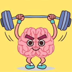 Perfect Brain 3D Puzzle